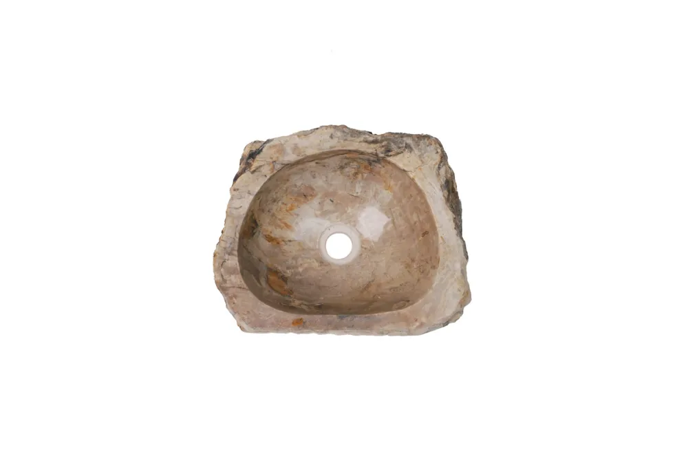 Fossiel Waskom37x30x14 cm | Versteend Hout Beste Prijs