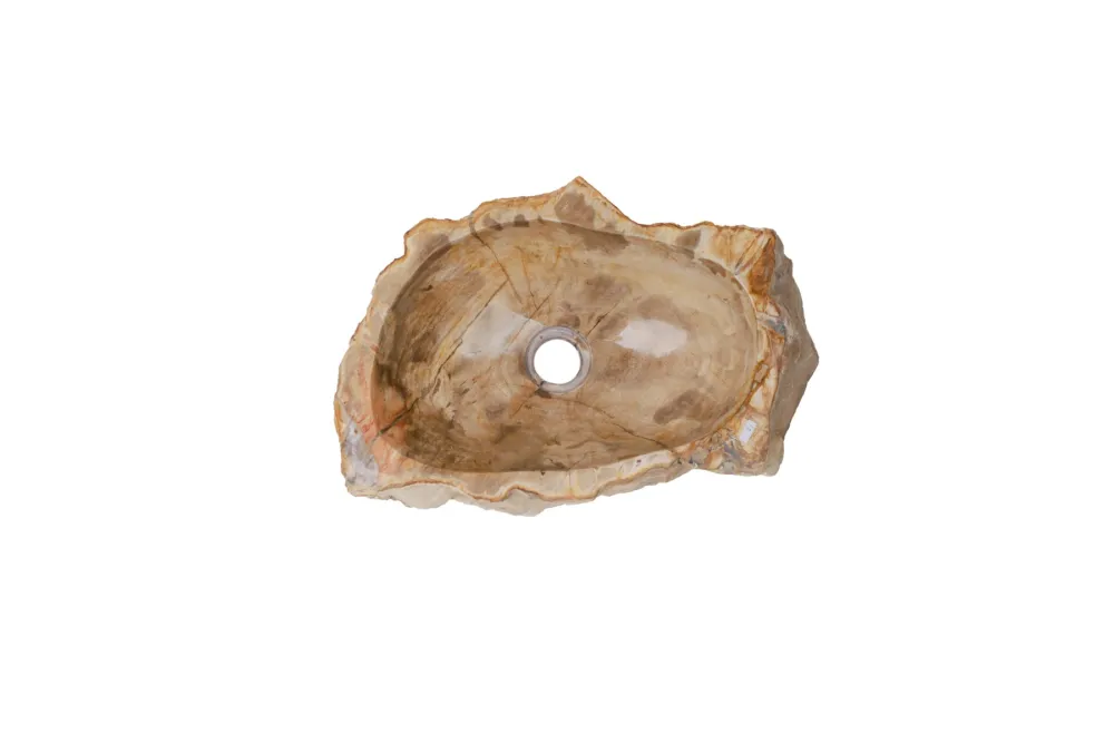 Actieprijs Fossiel Waskom 45x29x13 cm | Versteend Hout