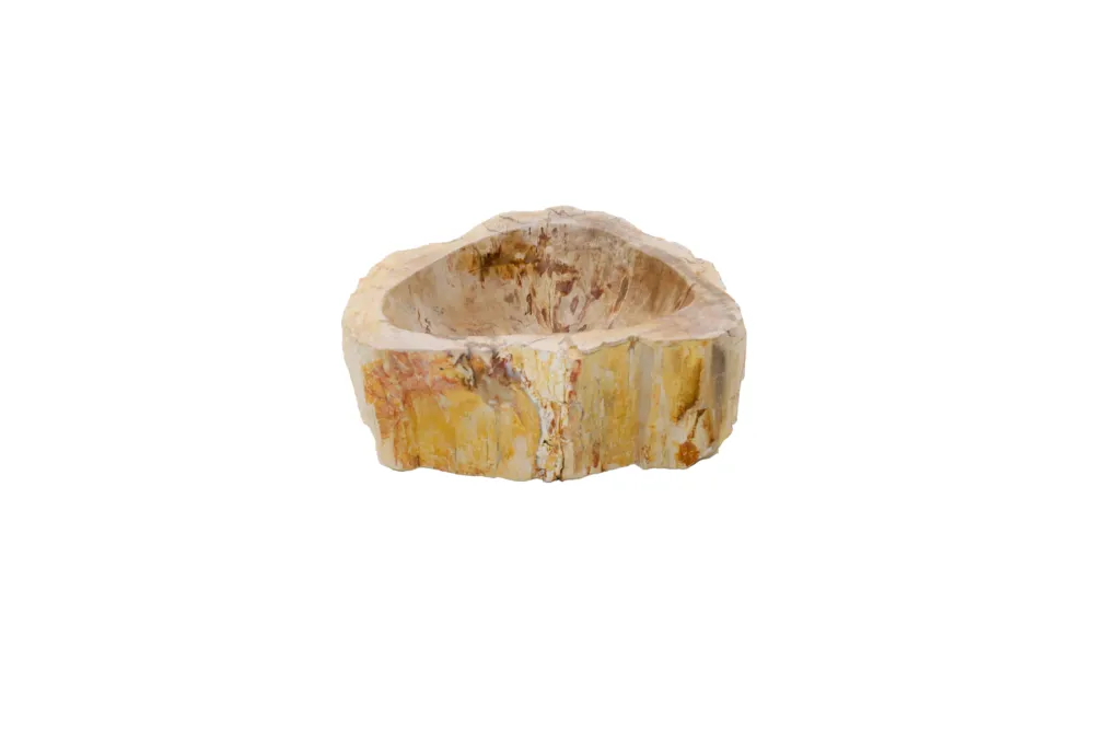 Nu Kopen Fossiel Waskom 37x31x14 cm | Versteend Hout