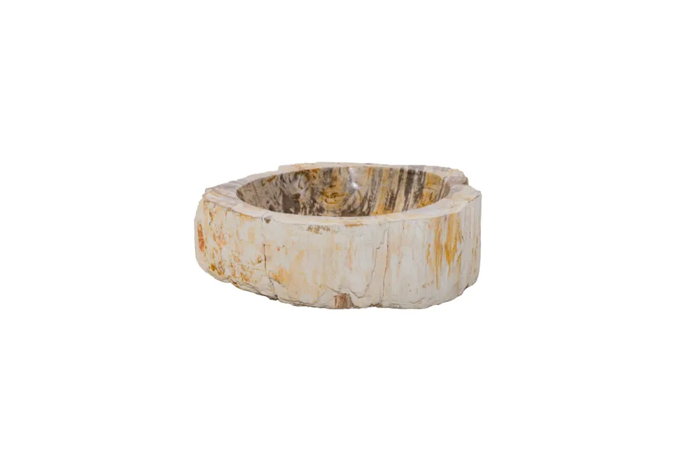 Fossiel Waskom 45x34x14 cm | Versteend Hout Hoge Kwaliteit