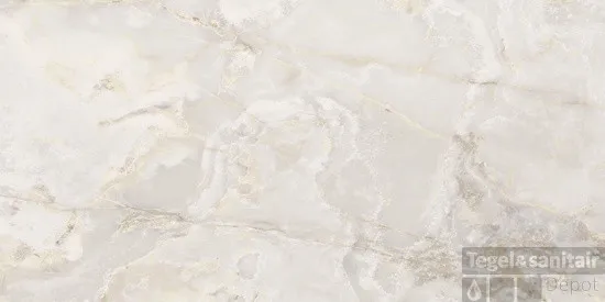 Alleen Vandaag Vloertegel Floorgres Onyx&More 60x120 cm 6 mm Zijdeglans White (Doosinhoud 2.16 m2)