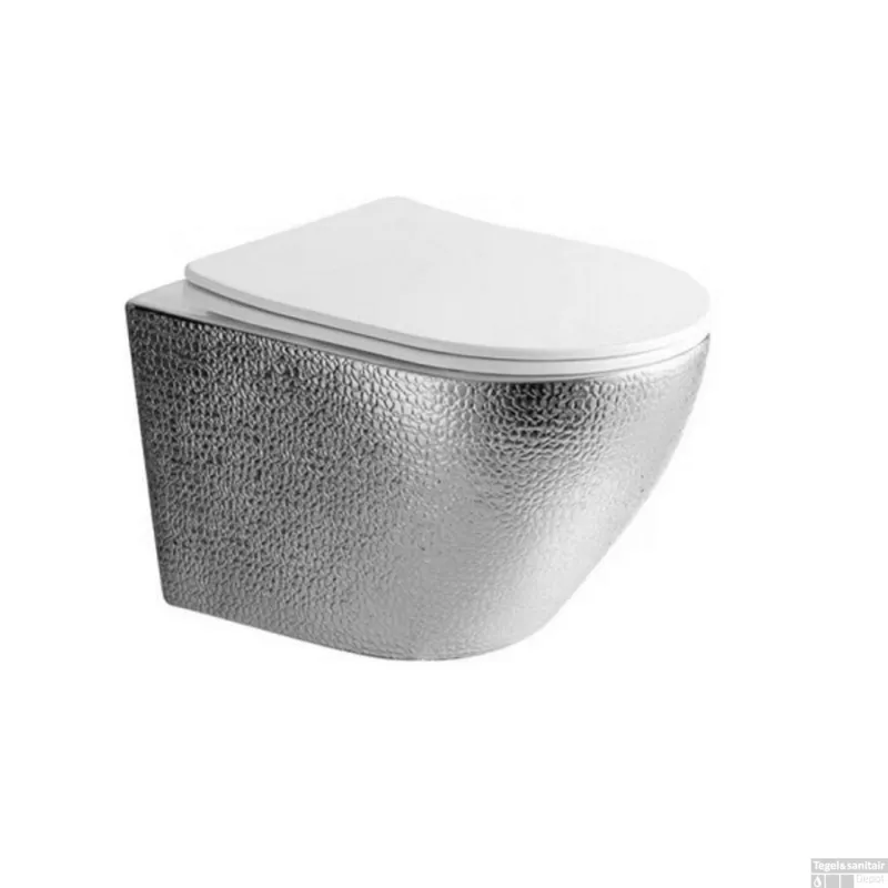 Koop Vandaag Wandcloset Best Design Royal-Zilver 49 Rimfree Inclusief Zitting Glans Wit/Zilver