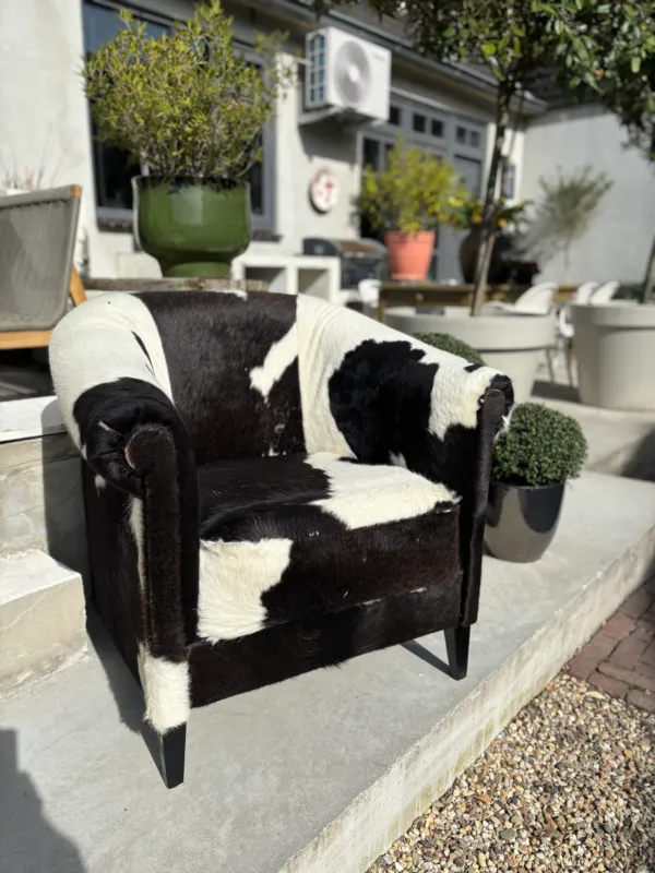 Koeienhuid Clubfauteuil Seizoensaanbieding