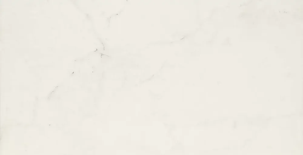 Navale Mármore vloertegel 60x120cm altissimo glans gerectificeerd Gereduceerde Prijs