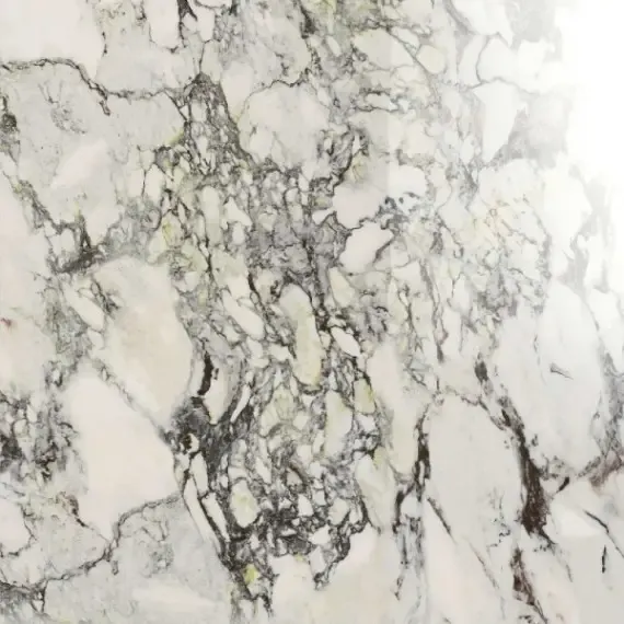 Tegelsample Navale Mármore vloertegel 60x60cm capraia glans gerectificeerd Finale Uitverkoop