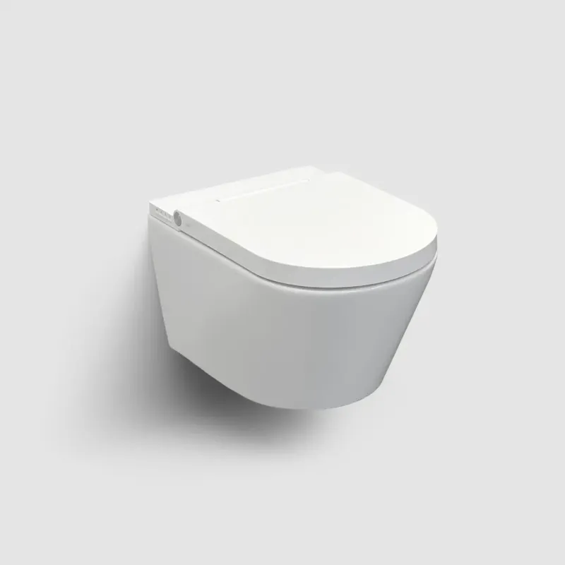 Clou Clever douche wc met turboflush en softclose zitting wit glans Express Levering